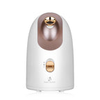 Hot and cold face steamer